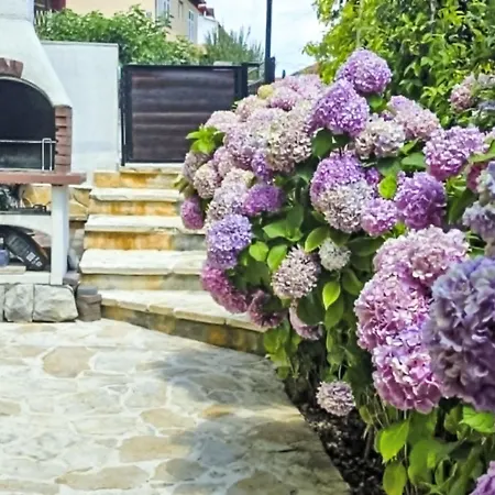 Rustica Mit Exklusiver Nutzung Des Pool By Interhome Lägenhet Zadar