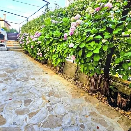 Rustica Mit Exklusiver Nutzung Des Pool By Interhome Lägenhet Zadar
