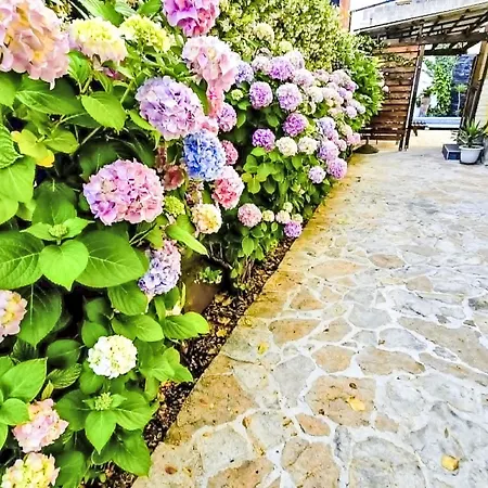Rustica Mit Exklusiver Nutzung Des Pool By Interhome Lägenhet *